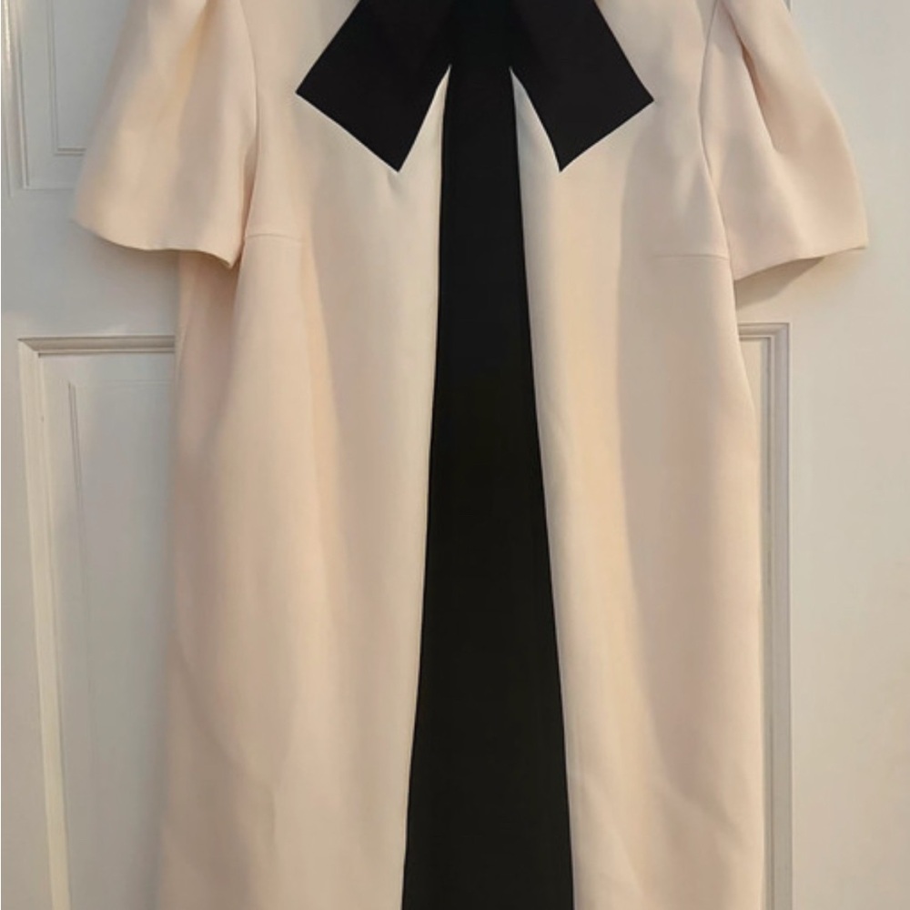 Cream and Black Sheath Mini Dress with Puff Sleeves